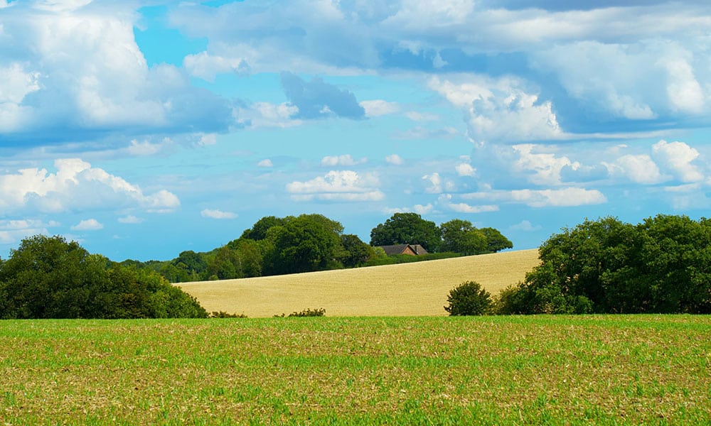 Rehab centres Hertfordshire, Addiction treatment services, Alcohol rehab services, Mental health treatment services, Rehab centres in the UK